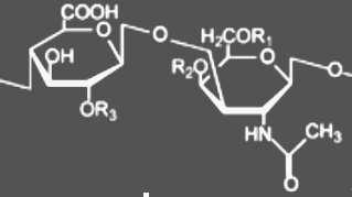 chondroitin sulfate egyseg.jpg